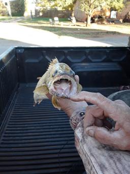 Rose Chapel Funeral Service in Cheyenne Oklahoma