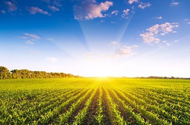 Sanders Funeral Care in Kingman Indiana