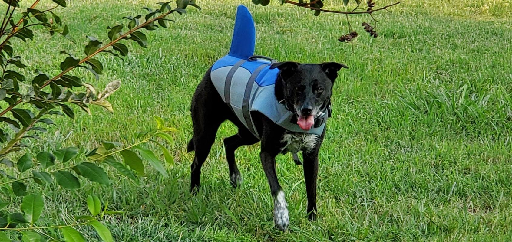 Shaw Funeral Home of Vici building in Vici, Oklahoma