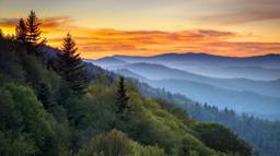 Simple Cremation in Fort Worth Texas