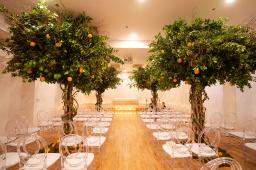 Sparrow A Contemporary Funeral Home Inc in Brooklyn New York