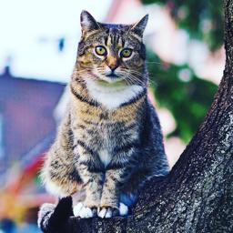 Sterling and Smith Funeral Home - Dinuba in Dinuba California