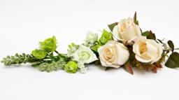 Steuernol & McLaren Funeral Homes building in Rose City, Michigan