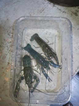 T. Michael Feller Memorial Home building in Tyrone, Pennsylvania