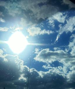 The Manhattan Funeral Chapels Inc in Newyork New York