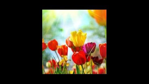 Thompson's Bayview Mortuary building in San Francisco, California