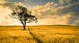 Torman Funeral Home building in Paw Paw, Illinois
