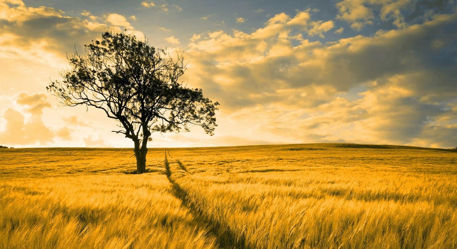 Torman Funeral Home building in Paw Paw, Illinois