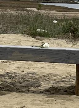 Wareham Village Association building in Wareham, Massachusetts