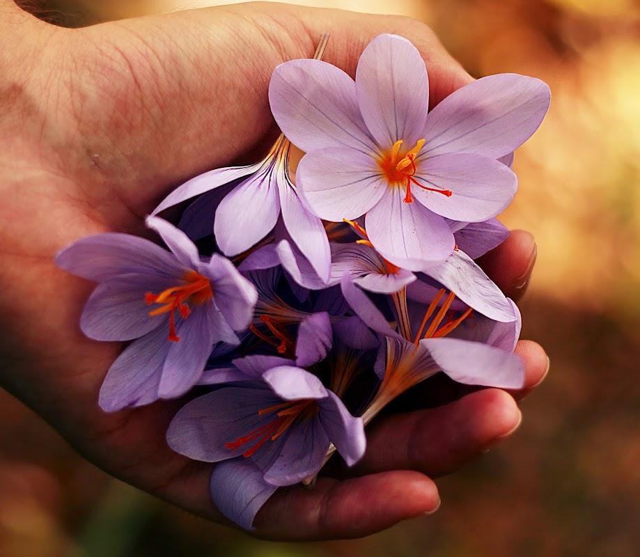 Week's Funeral Home in Buckley Washington